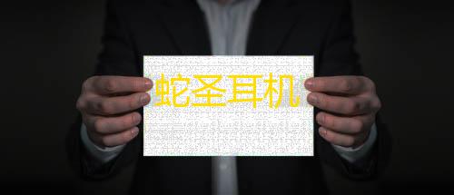 第五人格直装科技蛇圣耳机